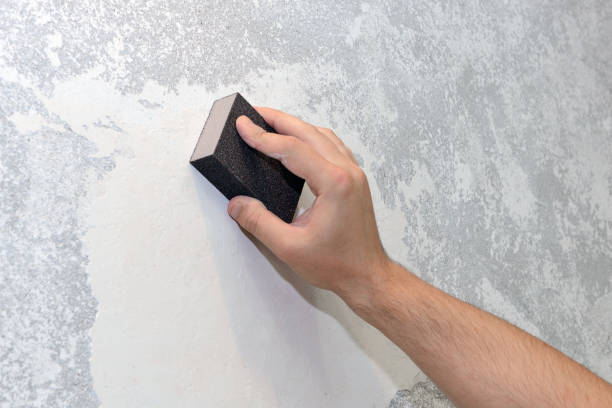 Best HVAC Mold Inspection and Cleaning  in Lanai City, HI