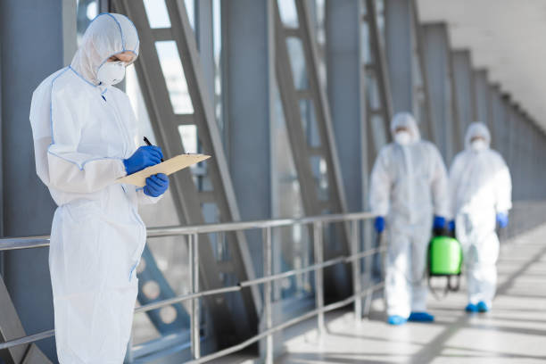 Reliable Lanai City, HI Mold Removal Solutions