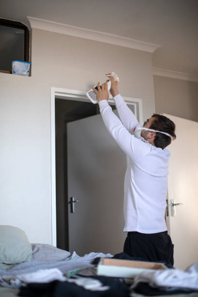 Best Air Quality Testing for Mold Spores  in Lanai City, HI
