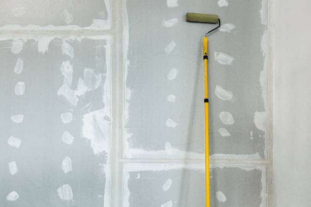 Best Comprehensive Air Testing for Mold Contaminants  in Lanai City, HI