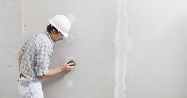 Best Crawl Space Mold Remediation  in Lanai City, HI