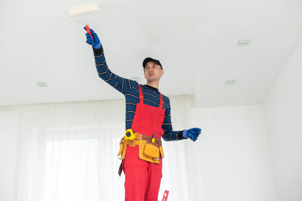Best Asbestos and Lead Testing During Mold Inspection  in Lanai City, HI