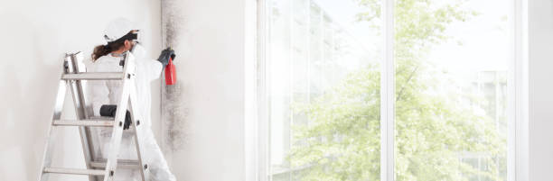 Best HVAC Mold Inspection and Cleaning  in Lanai City, HI