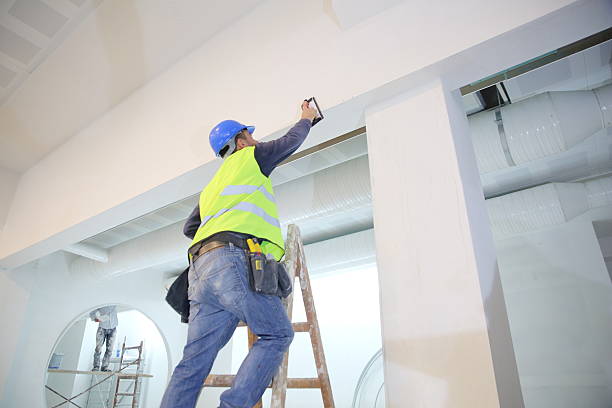 Best Commercial Mold Inspection  in Lanai City, HI